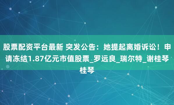 股票配资平台最新 突发公告：她提起离婚诉讼！申请冻结1.87亿元市值股票_罗远良_瑞尔特_谢桂琴