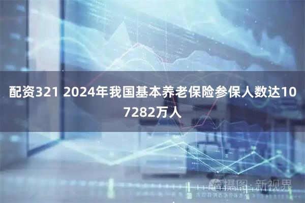 配资321 2024年我国基本养老保险参保人数达107282万人