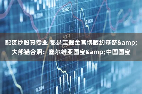 配资炒股真专业 都是宝掘金官博晒约基奇&大熊猫合照：塞尔维亚国宝&中国国宝